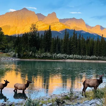 #304 Mountain View 1Br In Canmore Dt Exterior photo