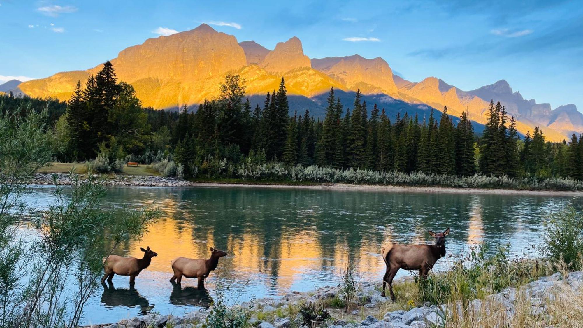 #304 Mountain View 1br In Dt Apartment Canmore